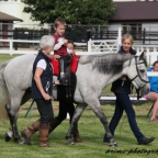 What is Connemara Therapeutic Riding?